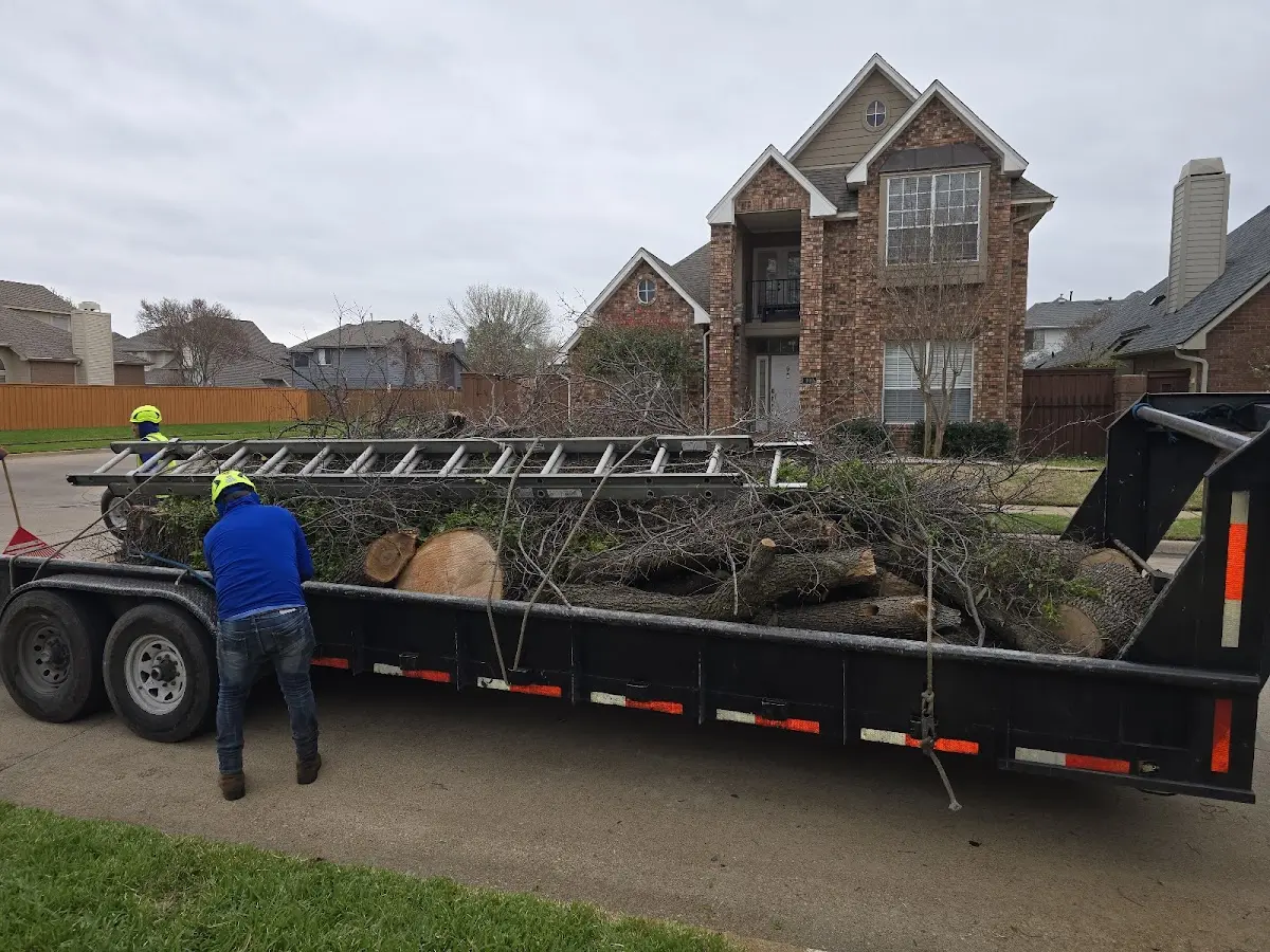 Expert Tree Fertilization with proper safety equipment in Petersburg